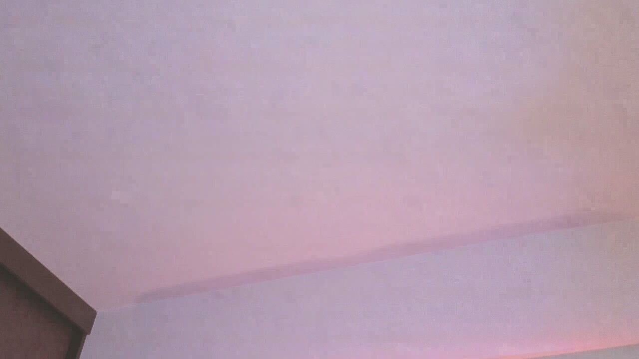 Amylewiss