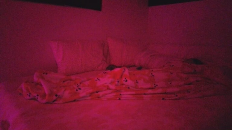 vivbby's Streamate show and profile