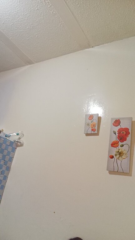 EricaBrookss's Streamate show and profile